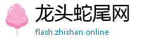 龙头蛇尾网
